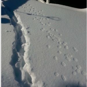 Meet your Posher, Alex